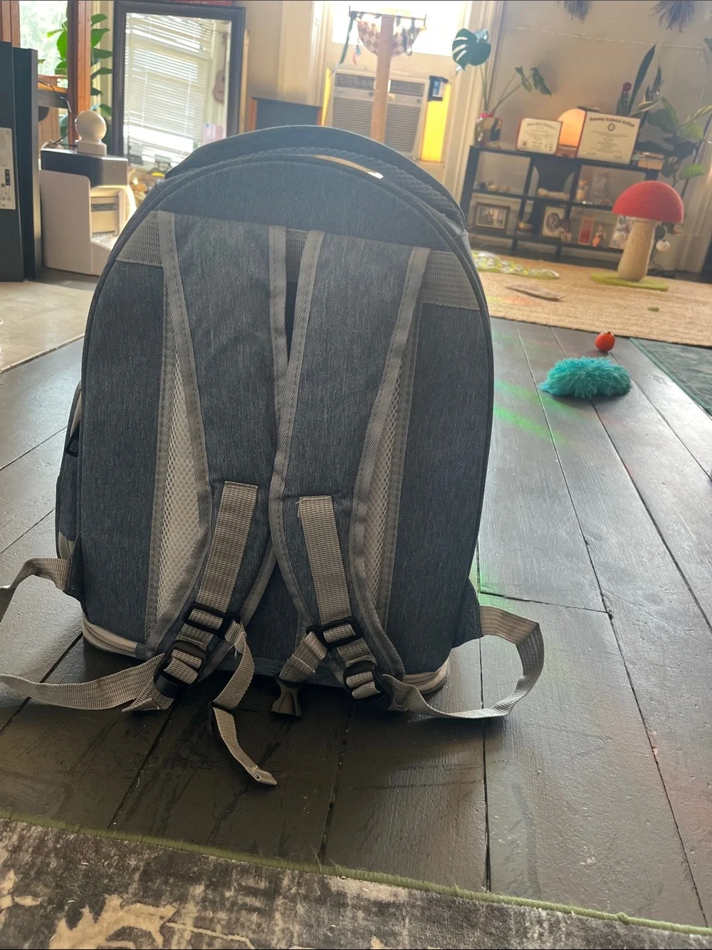Clear Cat Bubble Backpack with pockets, Light Blue Accents